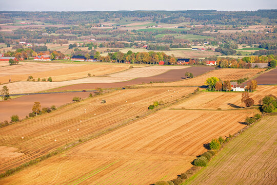 Aerial view ata patchwork rural fields at autumn