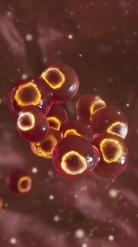Red microscopic cells converge and fuse together