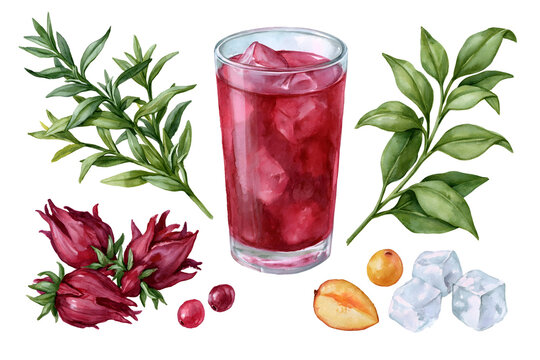 Discover a Refreshing Blend of Hibiscus and Herbal Ingredients in this Colorful Beverage, Perfect for Hot Days - A Delightful Recipe for Enjoying Nature's Flavors!