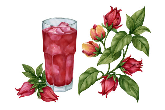 Refreshing Hibiscus Drink Surrounded by Vibrant Floral Elements - A Perfect Summer Beverage for Enjoyment and Appreciation of Nature&rsquo;s Beauty