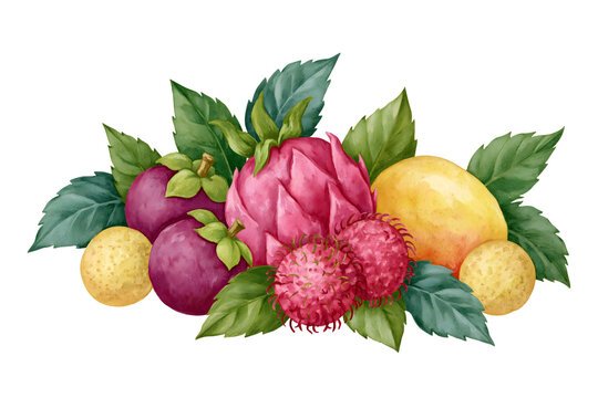 Explore a Vibrant Collection of Exotic Fruits Including Dragonfruit, Lychee, and Mangosteen in a Stunning Watercolor Illustration Perfect for Food Enthusiasts and Artists Alike
