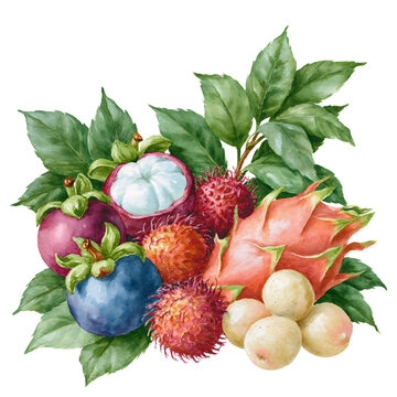 A Stunning Arrangement of Exotic Tropical Fruits Showcasing Their Vibrant Colors and Freshness, Perfect for Culinary Inspiration and Healthy Eating Choices.