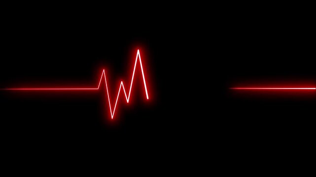 Heartbeat pulse cardiogram signal health monitor