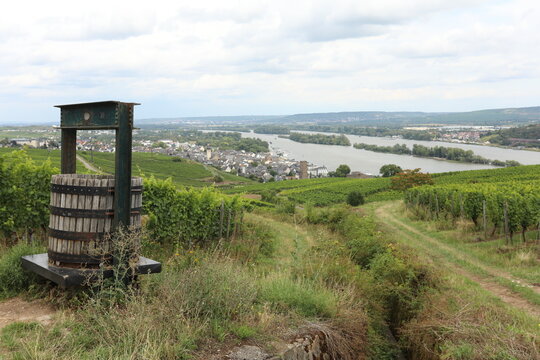 Vineyard landscape with old wine press overlooking a German town and river