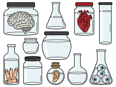 Lab Glassware with Preserved Human Organs and Body Parts