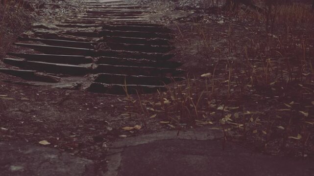 Wooden steps can be seen leading down a path in a natural area. The ground is uneven with grass growing around the steps. It is a daytime scene in an outdoor setting.