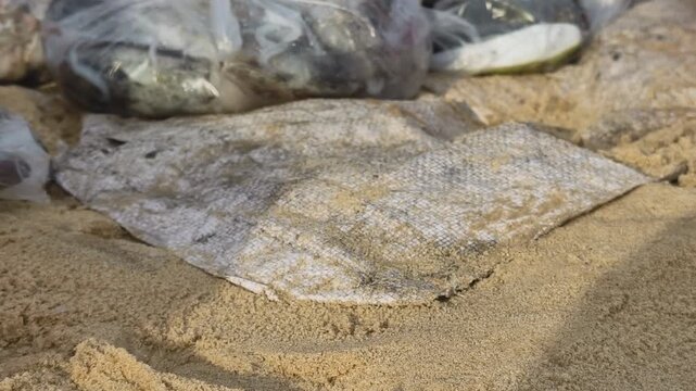 Close-up of a vendor's hand hooking into a plastic bag of fresh fish to pull it across the sand at an early morning coastal market