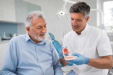 Fototapeta premium Dentist Teaching Senior Patient Denture Care