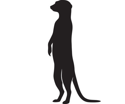 Meerkat Silhouette Standing Upright, Alert and Watchful. Animal Illustration for Wildlife Design or Logo Concept.