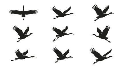 Naklejka premium Elegant crane and stork silhouettes in flight.