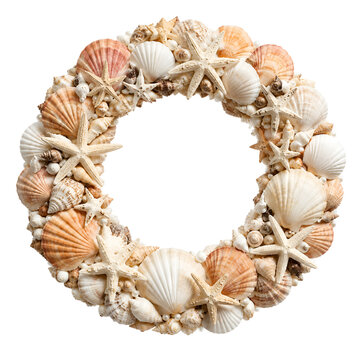 sea shells frame
