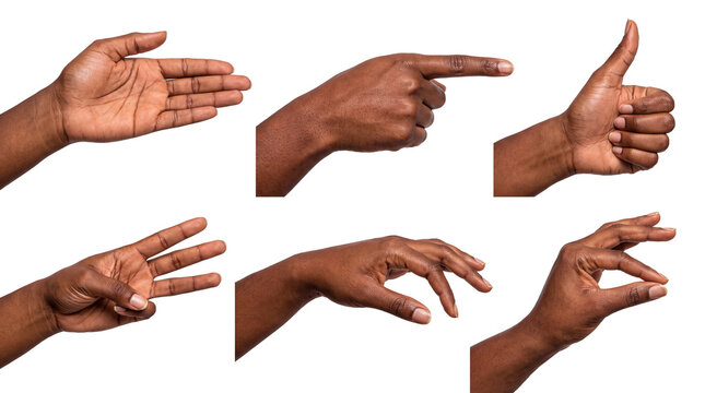 Comprehensive photograph of diverse hand gestures like pointing, approval, and specific actions.