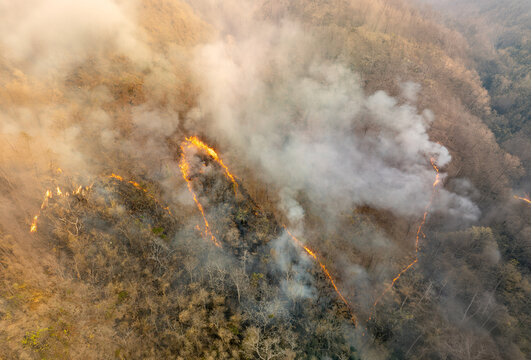El Nino climate event dries regions and increases wildfire risk.