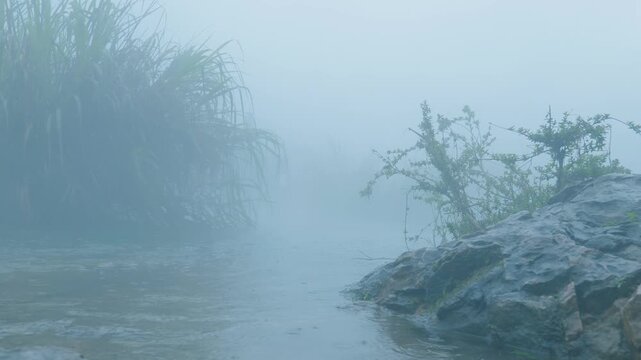 Static low angle shot of a rocky riverbank and reeds shrouded in thick mist during a heavy rainstorm