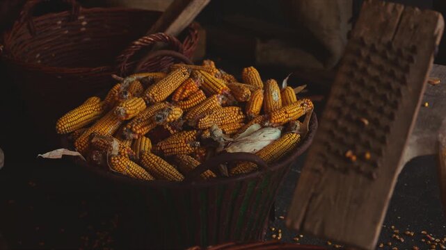 Golden maize cobs stored in wicker basket inside farmhouse setting, traditional farming and organic food production scene, 4K