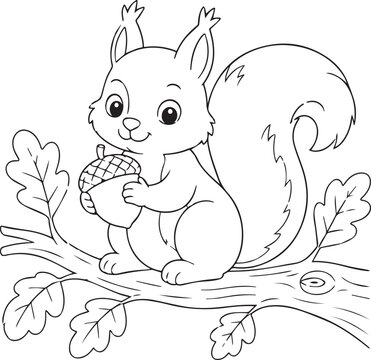 Adorable cartoon squirrel sitting on a tree branch holding a big acorn. Black and white outline vector illustration designed for children's coloring book pages, activity books, and educational craft 