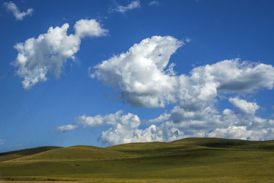 Blue sky with white clouds above rolling green grasslands