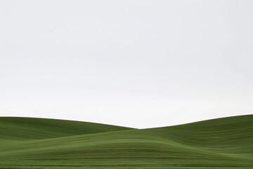 Obraz premium Minimalist Layered Green Waves of Grass Fields