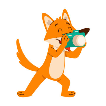 A cheerful orange fox holds a teal camera up to its face, posing as if taking a photo in a lively and playful cartoon illustration 