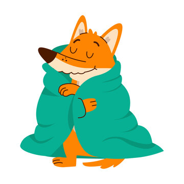 A cozy orange fox sits wrapped in a large teal blanket with eyes closed, showing a warm resting pose in a playful cartoon illustration 