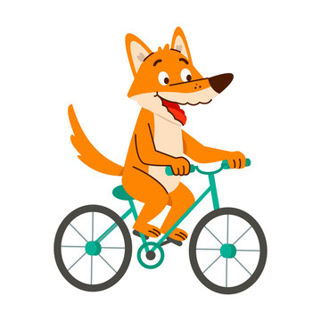 A cheerful orange fox rides a teal bicycle with both paws on the handlebars, creating an active outdoor pose in a playful cartoon illustration.