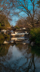 Fototapeta premium Traditional Chinese garden pavilion and corridor reflected in a calm winter pond with bare trees