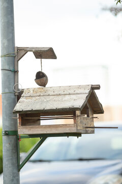 Rustic bird feeder on metal pole weathered wood platform hosting small sparrow perched, soft morning light, shallow depth of field with blurred urban