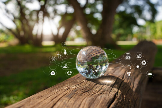 Crystal Globe on Log: Visualizing the Sustainable Future