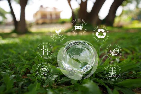 Sustainability Globe on a Green Lawn