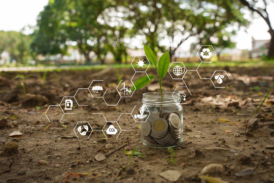 Green Investment and Sustainable Financial Growth Concept