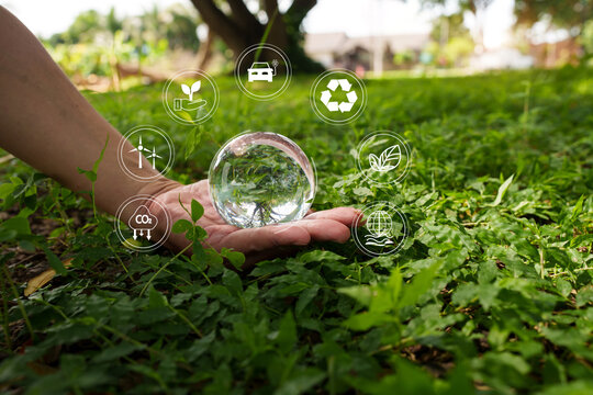 Human Hand Holding Crystal Globe for Environmental Sustainability