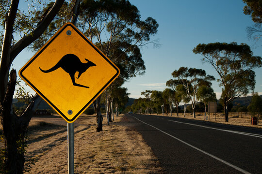Placa de travessia de cangurus em estrada australiana