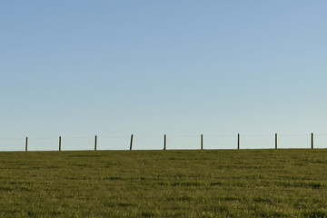 Fototapeta premium Wooden fence line stretching across a vibrant green grassy field under a clear blue sky