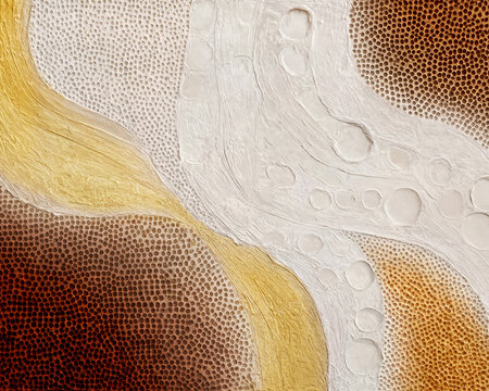 Meander & Hive - Rich, amber-toned honeycomb textures create a grounding perimeter, framing smooth, plaster-like ribbons that wind diagonally across the canvas.