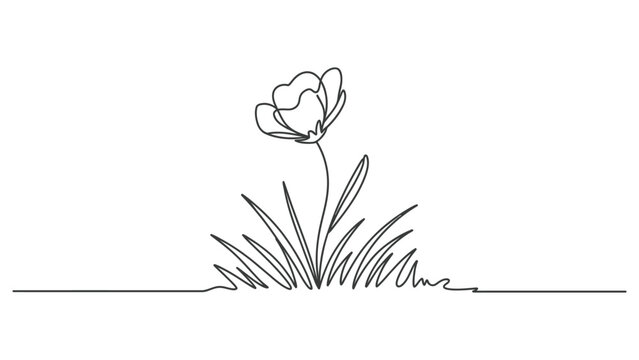 Single continuous line drawing of a beautiful flower blooming in the grass Vector, illustration