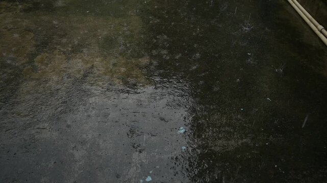 Heavy raindrops falling on the land surface. Heavy raindrops relentless pour onto the waterlogged land surface, creating countless shimmering ripples across the soaked ground. Slow motion video.
