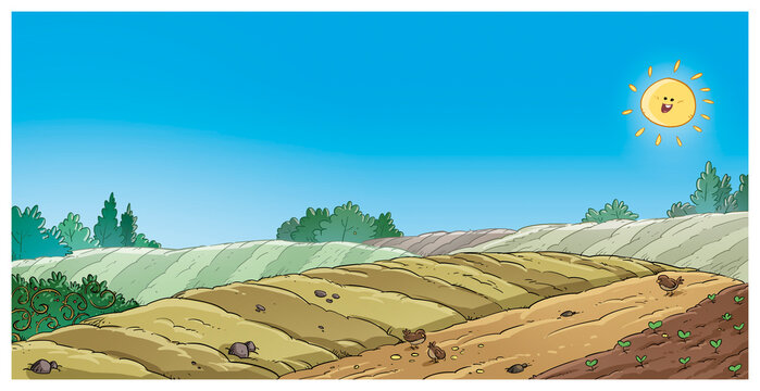 Illustration of a field sown in a valley