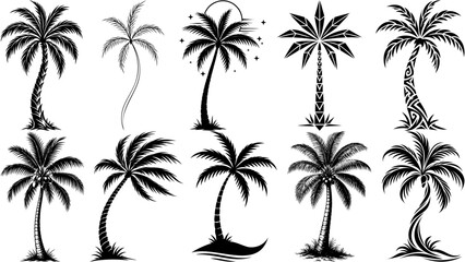Fototapeta premium Vector tropical artwork with these bold Tattoo Style Palm Tree silhouettes set in solid black. Ideal for plants and trees collections, apparel designs, posters, branding, and vector projects.