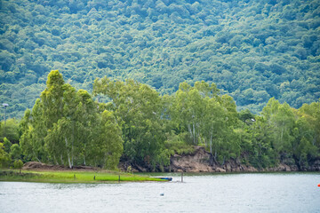 Fototapeta premium Lush Lakeside Landscape: A serene lake mirrors the dense, green foliage of a treeline, with a verdant forest cascading down a gentle slope towards the water's edge.