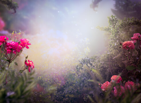 Fantasy blooming pink roses flowers in fairy tale whimsical garden, fairytale glade wallpaper background, amazing magic tranquil misty landscape template, whimsy scene with empty copy space.