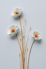 Fototapeta premium Charming Flat Lay Composition with Three Delicate White Wildflowers on Soft Paper Texture Background