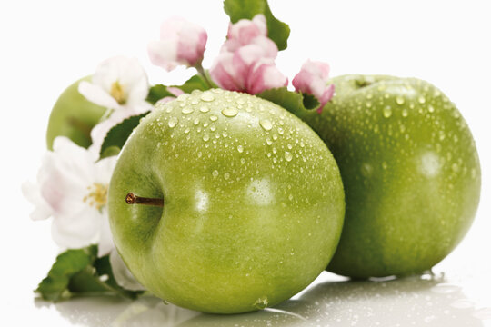 Green apples with water droplets, in background apple blossom, close-up