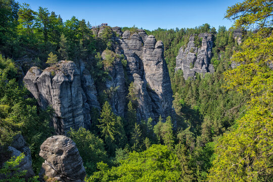 Sandstone rock formations stand in the Saxon Switzerland forest