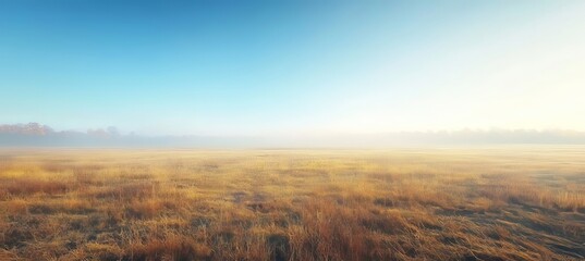 Fototapeta premium Stunning View of an Open Field With Autumn Mist and Soft Morning Sunlight in a Peaceful Landscape