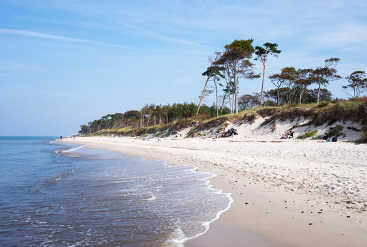 Germany, Mecklenburg-Western Pomerania, Baltic Sea beach in Born auf dem Darss