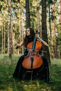 A woman plays the cello in a peaceful pine forest