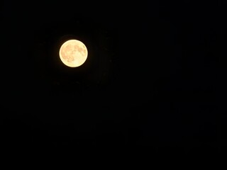 moon in the night sky © Katie