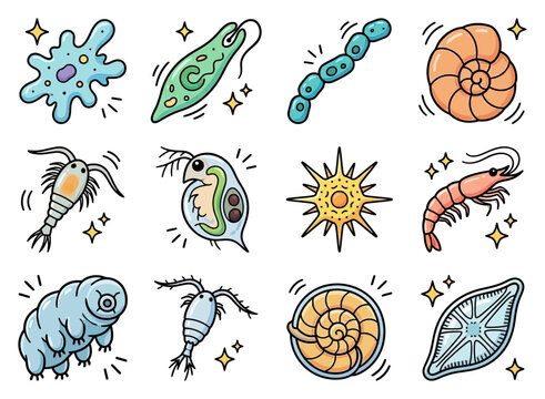 Microscopic aquatic organisms like amoeba paramecium rotifer and shrimp in cartoon style