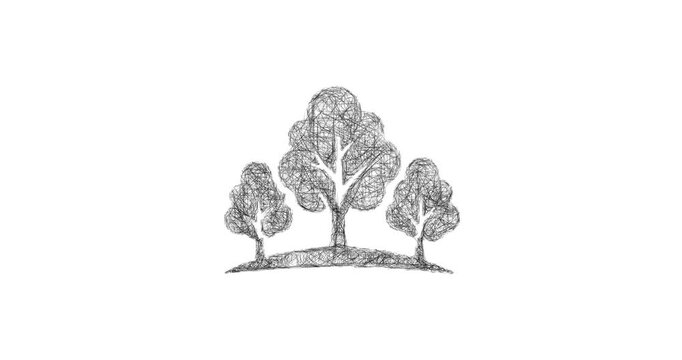 Sketch fall foliage icon animation - smooth progressive reveal