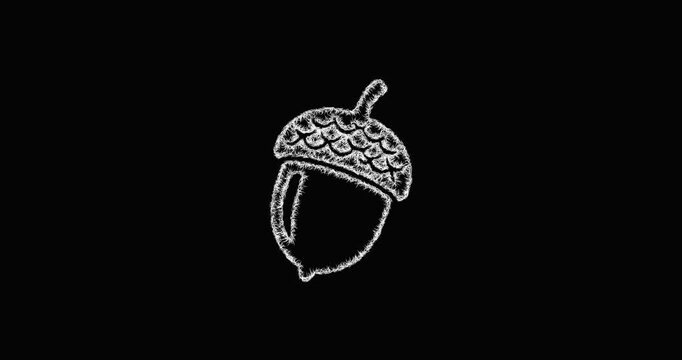 Sketch acorn icon animation - smooth progressive reveal